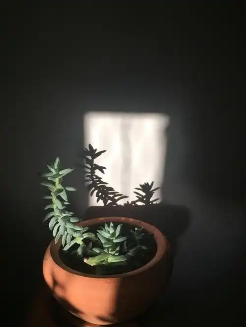 利用影子拍照,原来这么美!