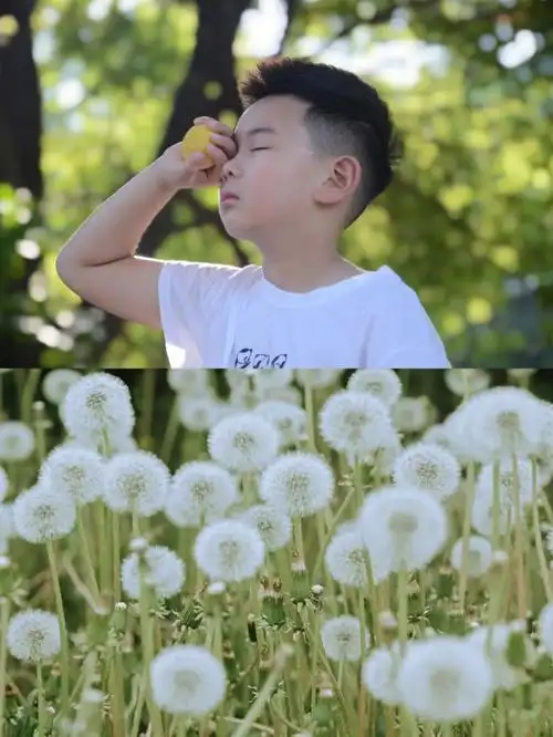 小孔今日份可甜可盐