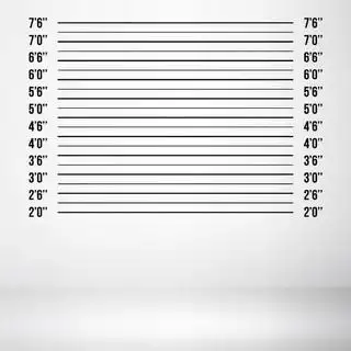 白色背景图上孤立的警察阵容