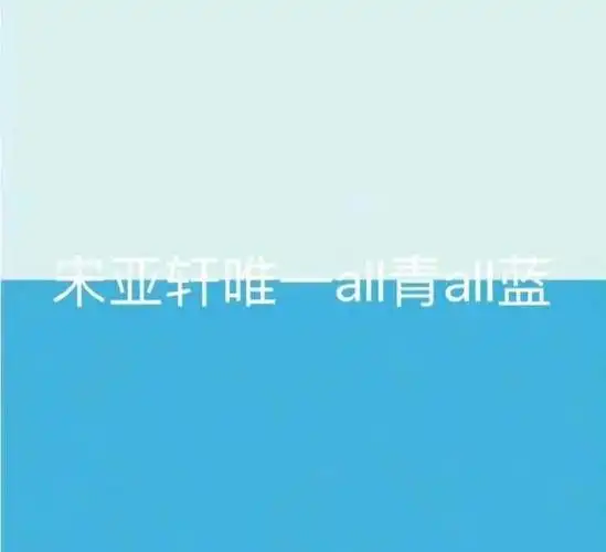 以前,宋亚轩的所有活动都是用的双色应援,以后也一定会坚持下去.