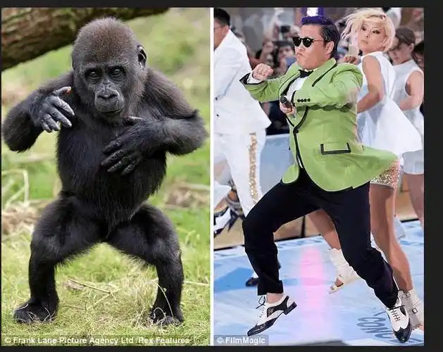 现场互动趣味小游戏