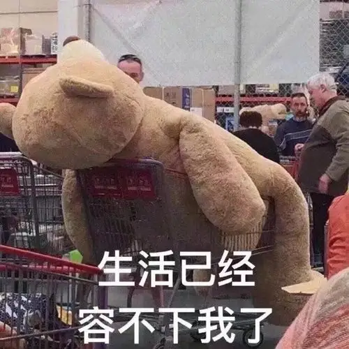 生活真的是如图片上的啊我已无能为力