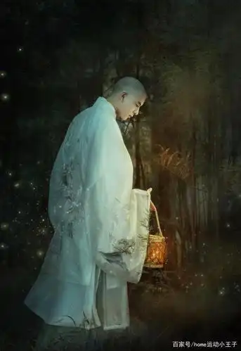 一叶一菩提,一花一世界,清秀小和尚带你走进静心世界