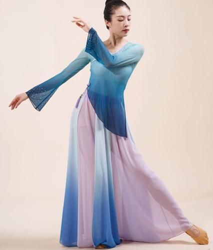 抬龙王舞蹈服镶砖舞蹈上衣唯美古典舞纱衣女身韵练功服飘逸仙气女
