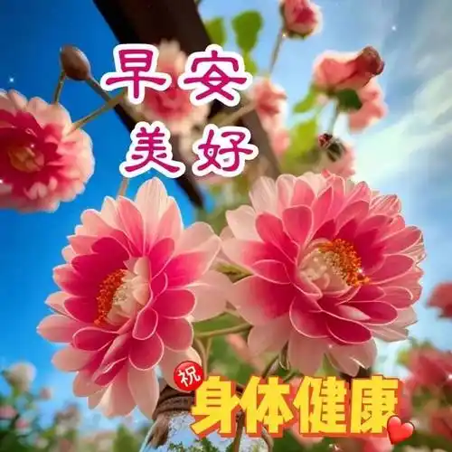 9张有创意的早安早上好图片带字带祝福语 2023春日新版早上好问候祝福