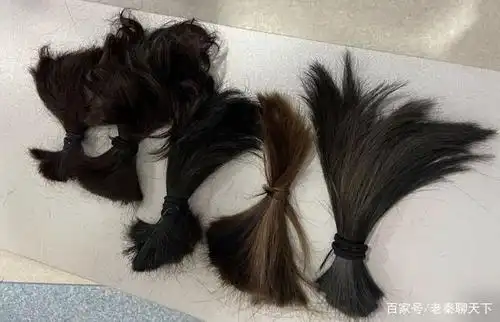 剪掉的头发