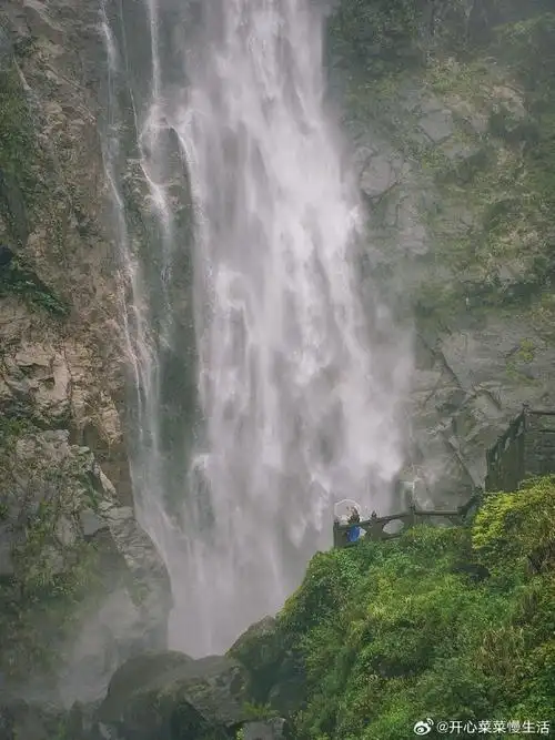 去明月山看花花世界##五一去明月山放肆撒野