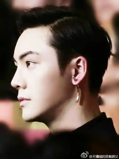 国剧盛典等宝贝颜值爆表的侧脸~~(图片来自微博)