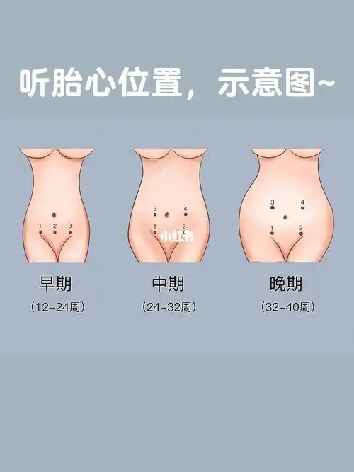 当时宝宝小,经常监测到胎心跳了两下后,他就游走了,又要重新找位置