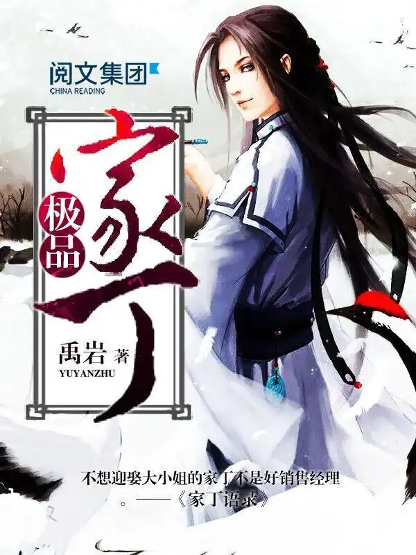 每日一本小说推荐:极品家丁