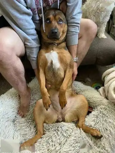 耍赖也只是在我老公的怀里,这是赤裸裸地秀恩爱吗?