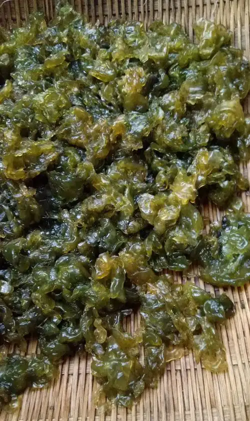 中国特色山野美食《地木耳》__财经头条