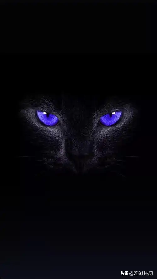 苹果睁眼壁纸大全iphone开屏眨眼壁纸太酷了