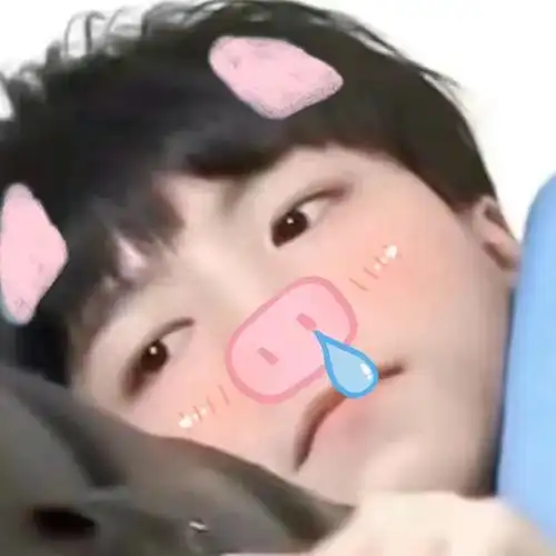 第一张太可爱了啊可爱的小猪#王俊凯#王俊凯头像#王俊凯可爱头像01