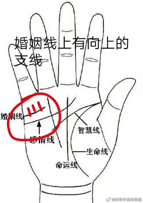手相婚姻线看感情中的"悲欢离合"
