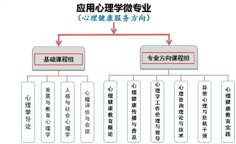 心理健康服务微专业课程体系