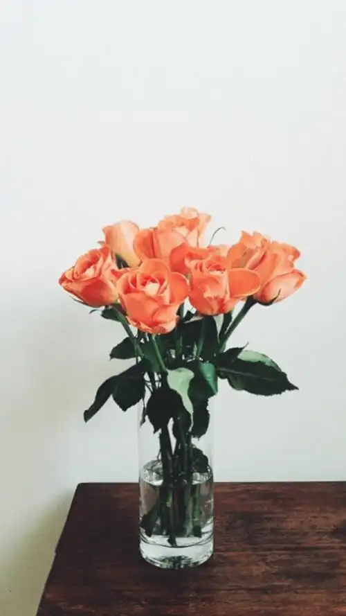 文艺复古小清新花花壁纸