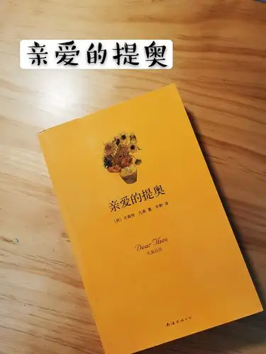 梵高书信集:《亲爱的提奥》   天才异质混成的血肉之躯