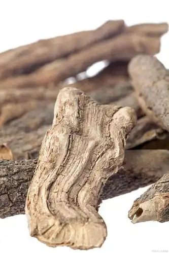 中医认为寻骨风有祛风湿,通络止痛的功效与作用.