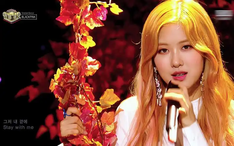 孩子养成读书好习惯最佳阅读搭档漂亮南希系列喜欢的亲