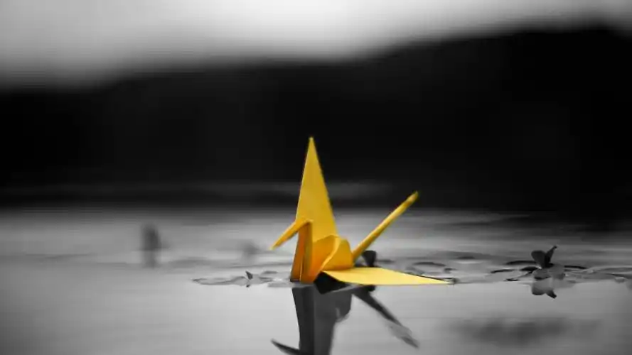 美丽的千纸鹤图片饰品折纸千纸鹤纸鹤