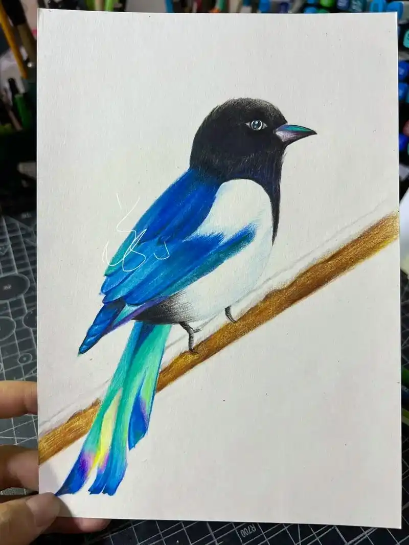 彩铅喜鹊教程#跟着抖音学画画 #一学就会系列 #彩铅画画入门 - 抖音