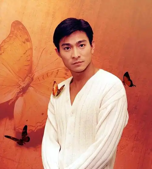 刘德华的歌有故事吗2