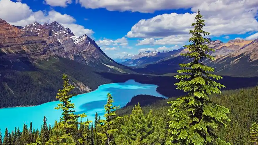 webshots,2012年,三月,精美,风光,动物,摄影,宽屏,1080p,壁纸webshots