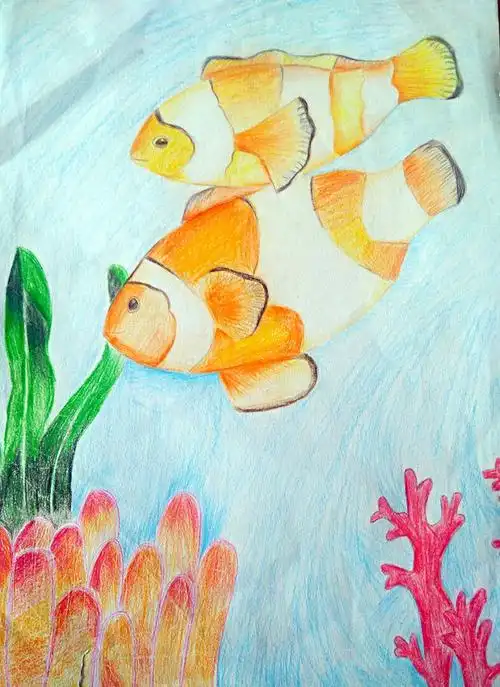 海底世界   高子叶