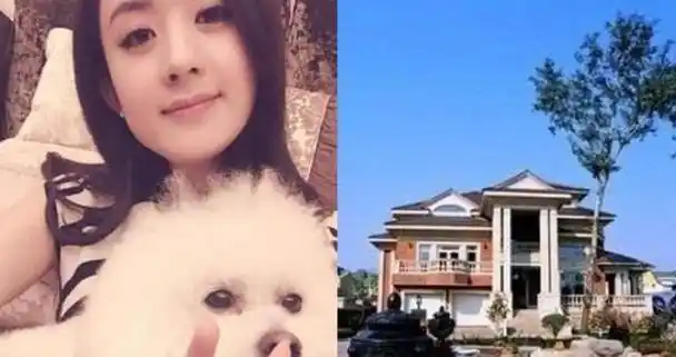 赵丽颖北京豪宅内景曝光极度奢华网友一年工资买一块砖