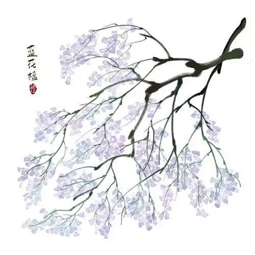 花卉打卡蓝花楹