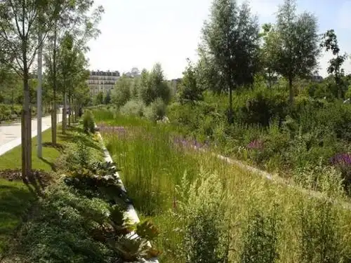 雨水花园的定义〕 雨水花园是自然形成的或人工挖掘的浅凹绿地