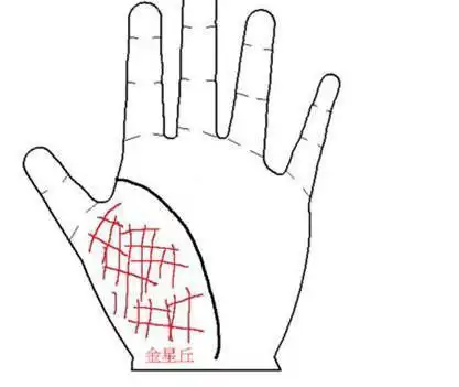 你手上的金星丘如果出现了横纹一定要引起重视特别是女性