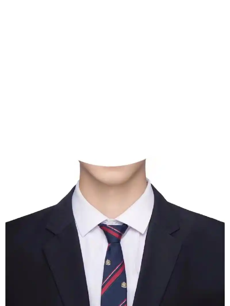 男生证件照模板 只需一张正脸照片即可 只要一张正脸照片 即可p张帅气