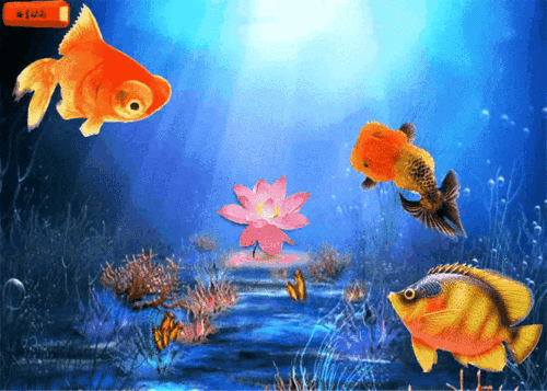 640_457gif 动态图 动图