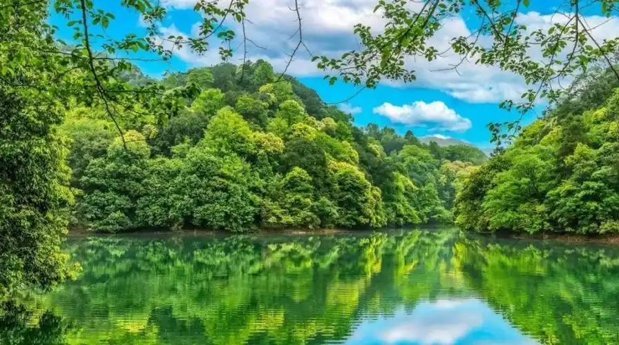 春游江淮丨一起打卡芜湖现实版"绿野仙踪"