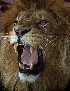 喊叫图片_喊叫图片大全_喊叫图片素材