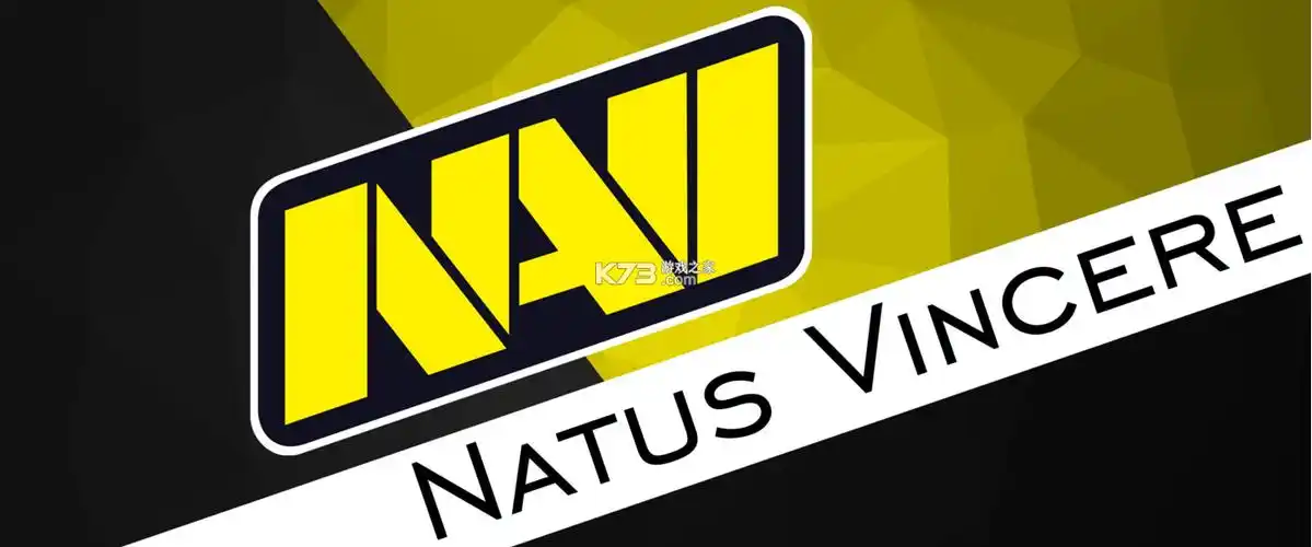 csgonavi战队队员