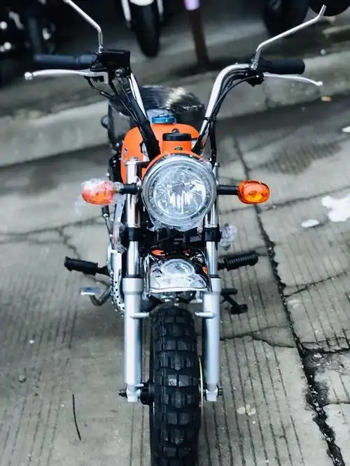 全新金城金童70 大号