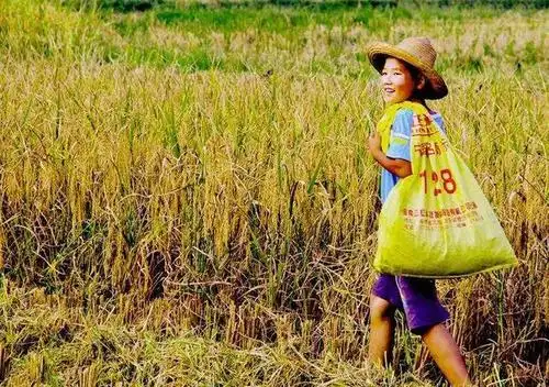 农村人的童年生活,满满的都是回忆,九零后很难体会到!