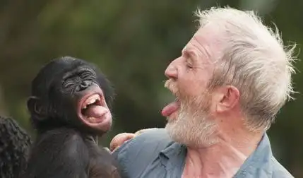 2018年搞笑诺贝尔奖出炉