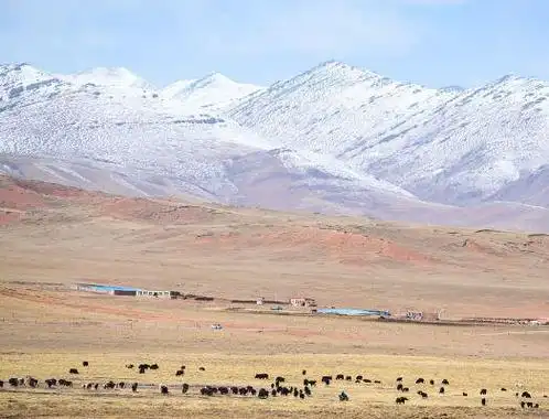 无人区后失踪,发现尸体时一丝不挂,至今死因是个谜|格尔木|藏公路