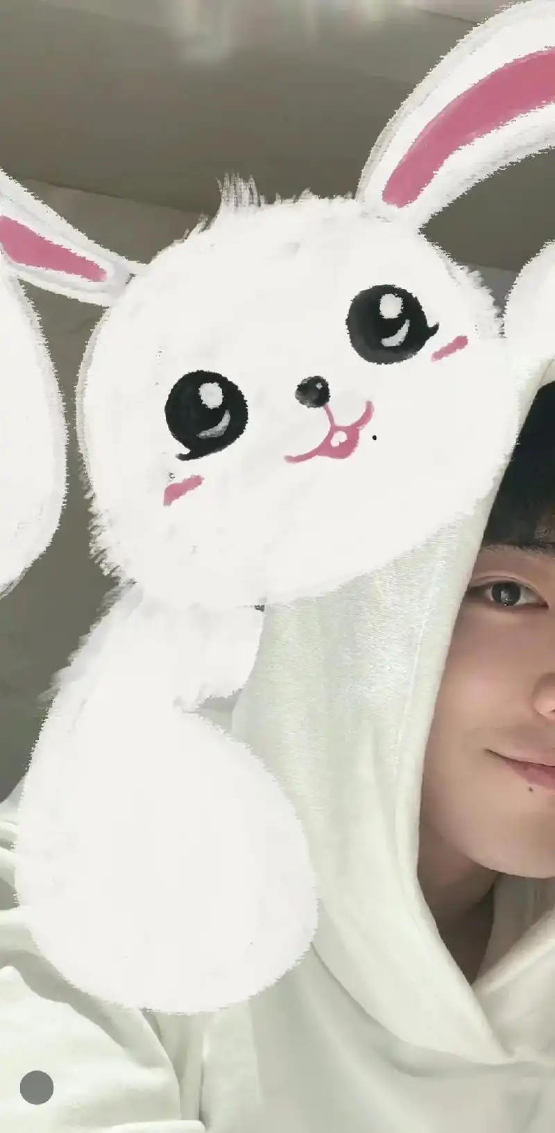 肖战 亲手画的肖兔子7815新的一年依然希望你顺顺利利,爱你17