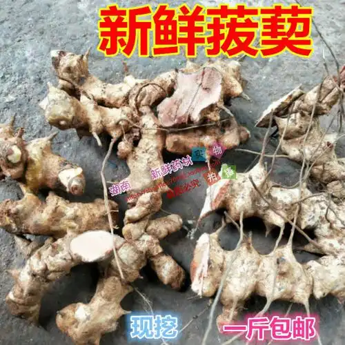 野生新鲜菝葜金刚刺金刚藤菝葜头铁菱角药材菝葜根鲜货500克包邮