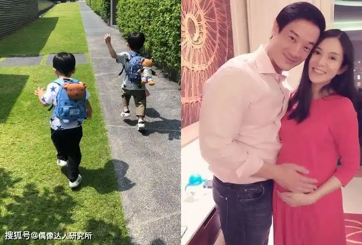 曾誉为"玉女接班人"的杨采妮 为爱淡出娱乐圈!_吴奇隆