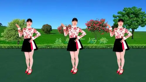 精选广场舞视频教学