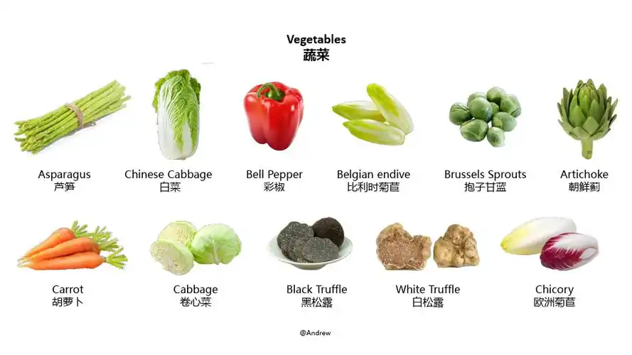 酒店餐饮蔬菜中英图文介绍_文档下载