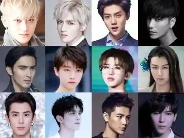 的是因为"流量经济"的关系,中国观众对于年轻演员的评价体系不再信任