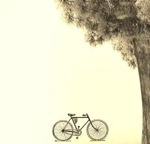 不负青春美好时光优美句子关于不负好时光的唯美句子