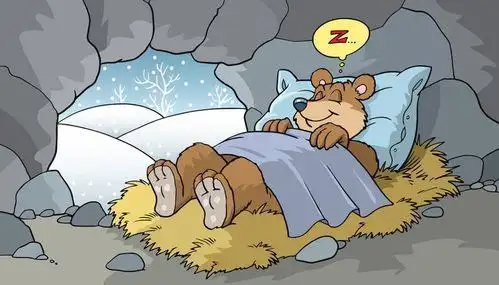 熊冬眠简笔画 熊冬眠简笔画图片